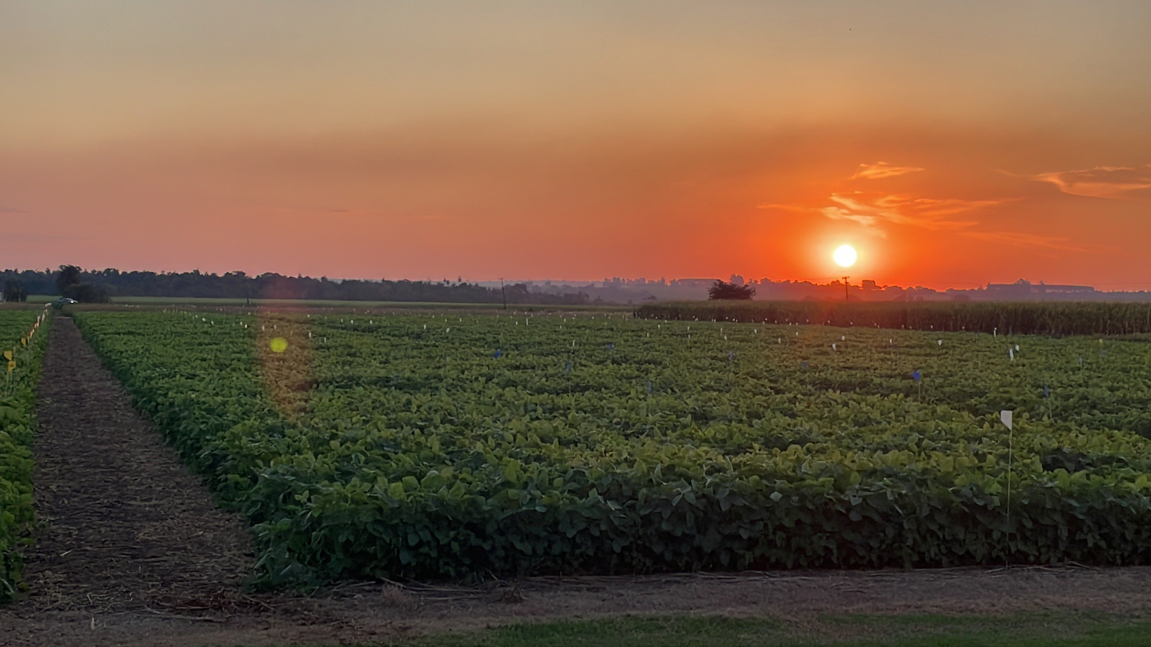 Parceria entre Agrotec Paraguai e DigiFarmz